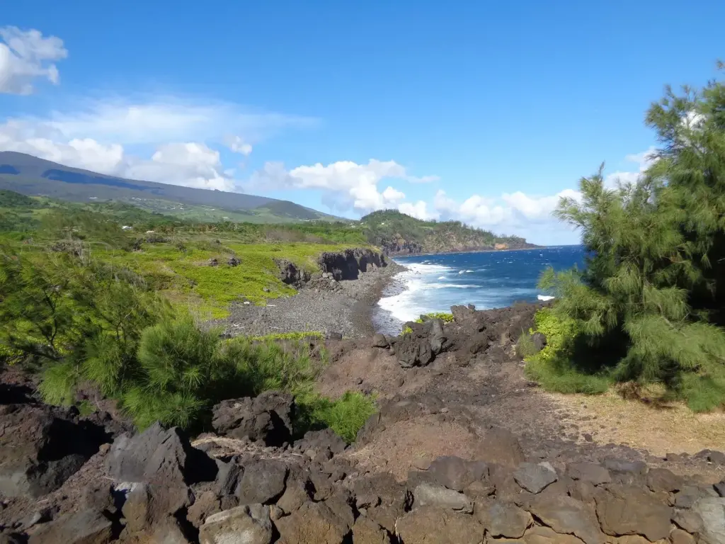 Baie du littoral du Sud Sauvage, lave et végétation